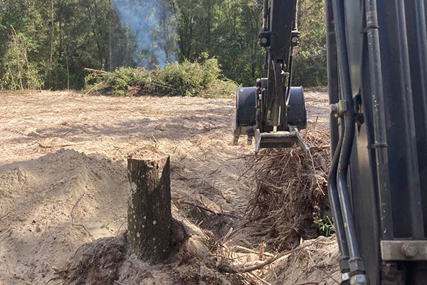 north florida land works llc stump removal